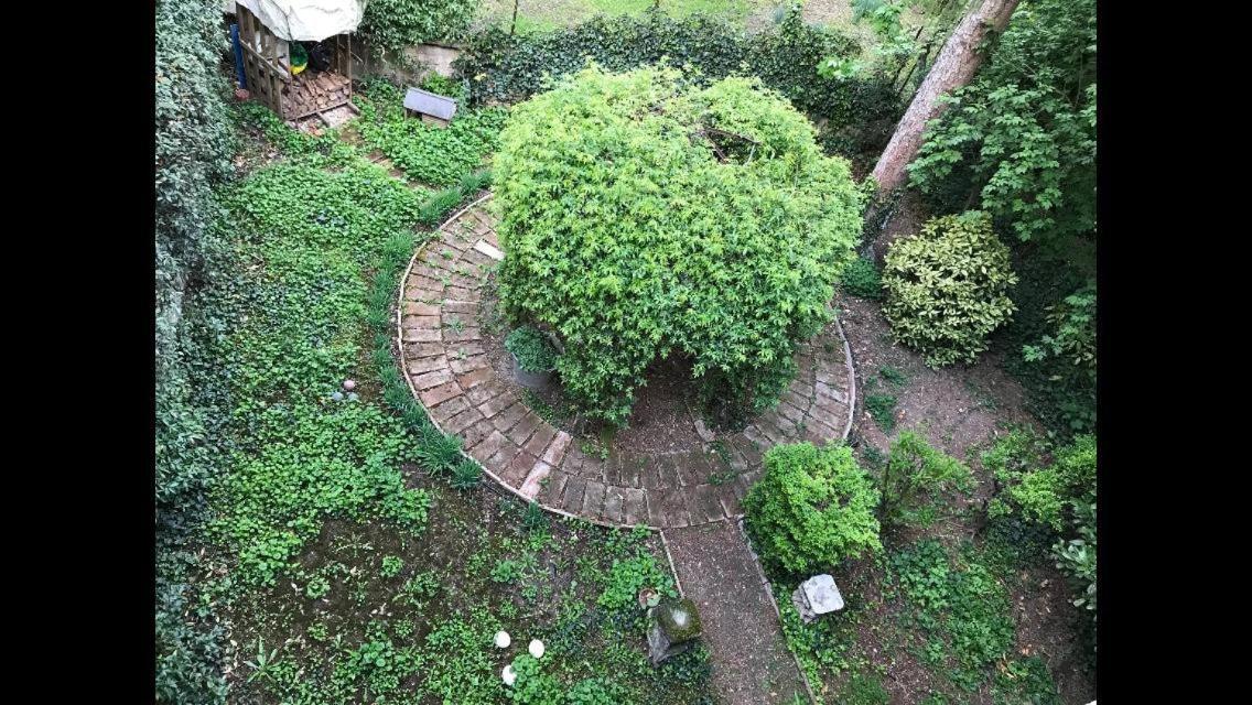 Casa Luminosa Con Giardino In Centro Storico Apartment Reggio Emilia Bagian luar foto